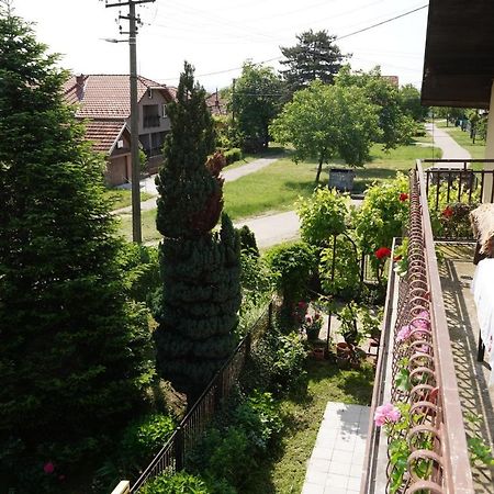 Etnobubi Apartment Novi Sip ภายนอก รูปภาพ