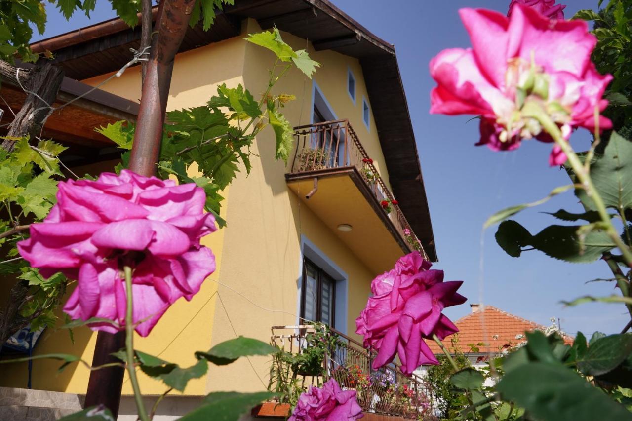 Etnobubi Apartment Novi Sip ภายนอก รูปภาพ