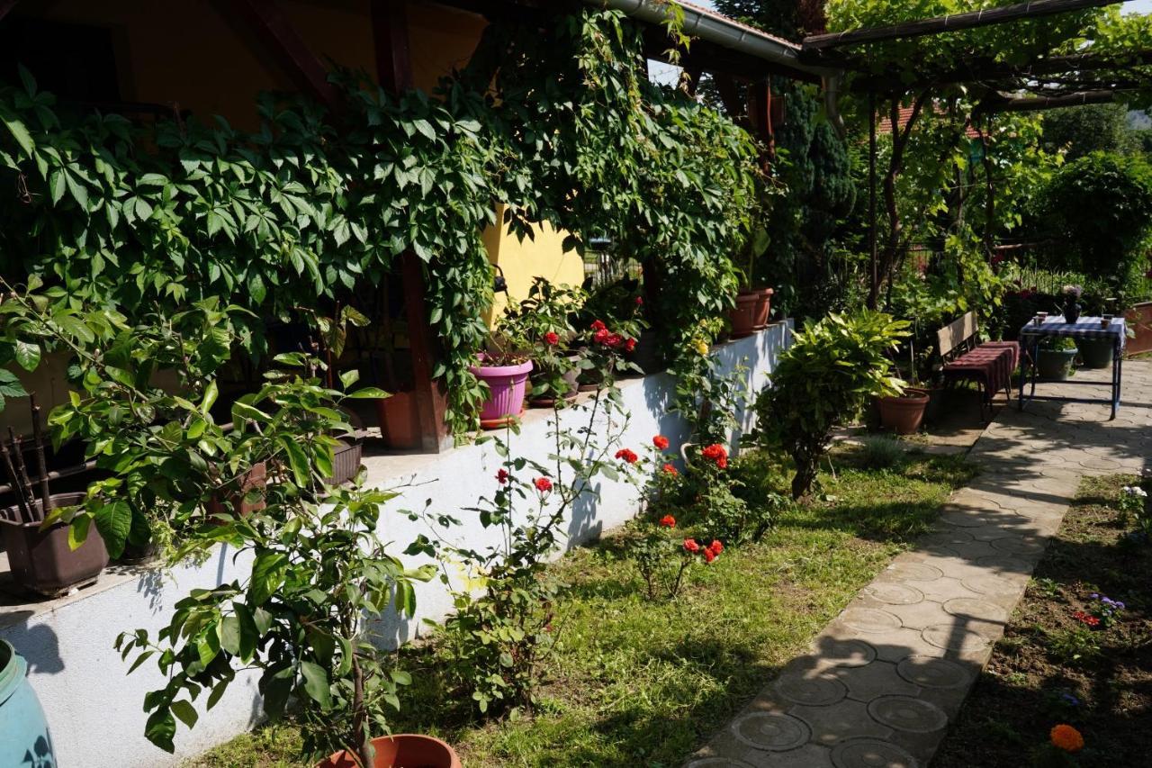 Etnobubi Apartment Novi Sip ภายนอก รูปภาพ