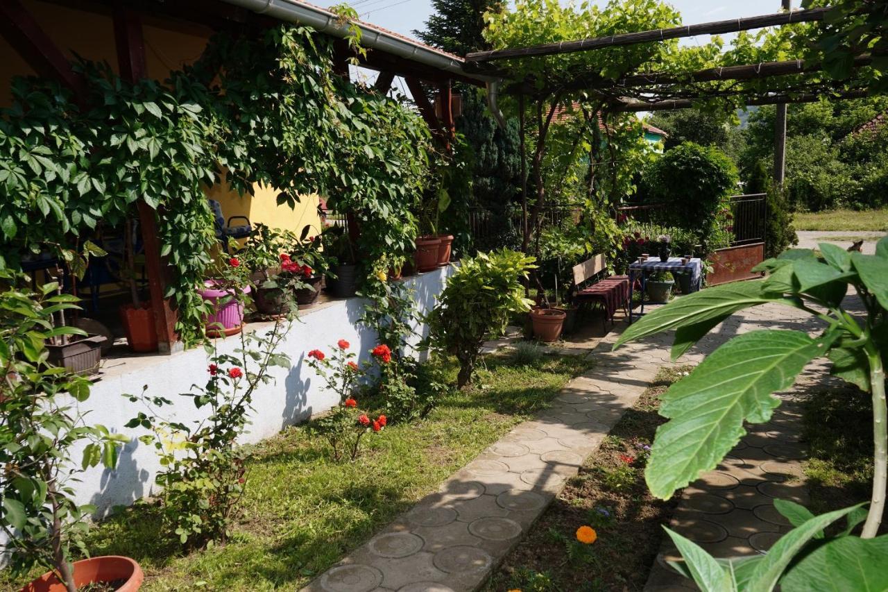 Etnobubi Apartment Novi Sip ภายนอก รูปภาพ