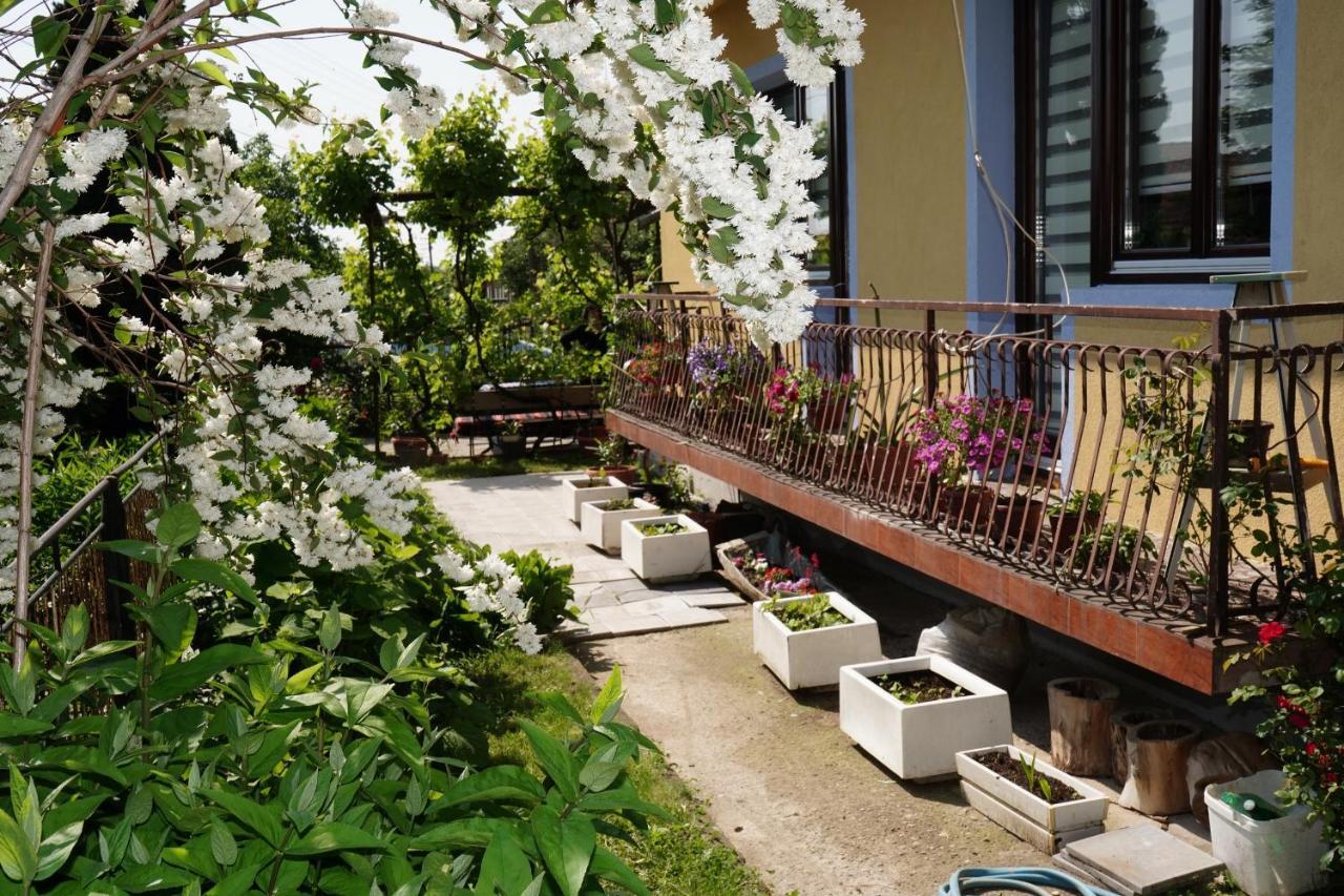 Etnobubi Apartment Novi Sip ภายนอก รูปภาพ